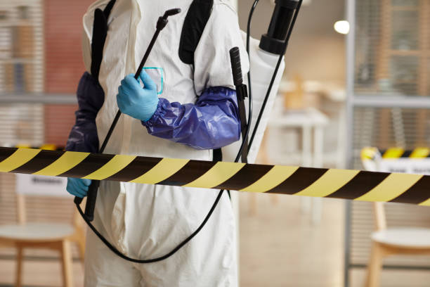 Professional Sewage Cleanup technician working in Sorrento, FL
