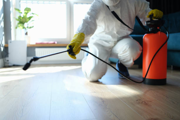 Reliable Sewage Cleanup contractor in Sorrento, FL by Trauma Clean Pros